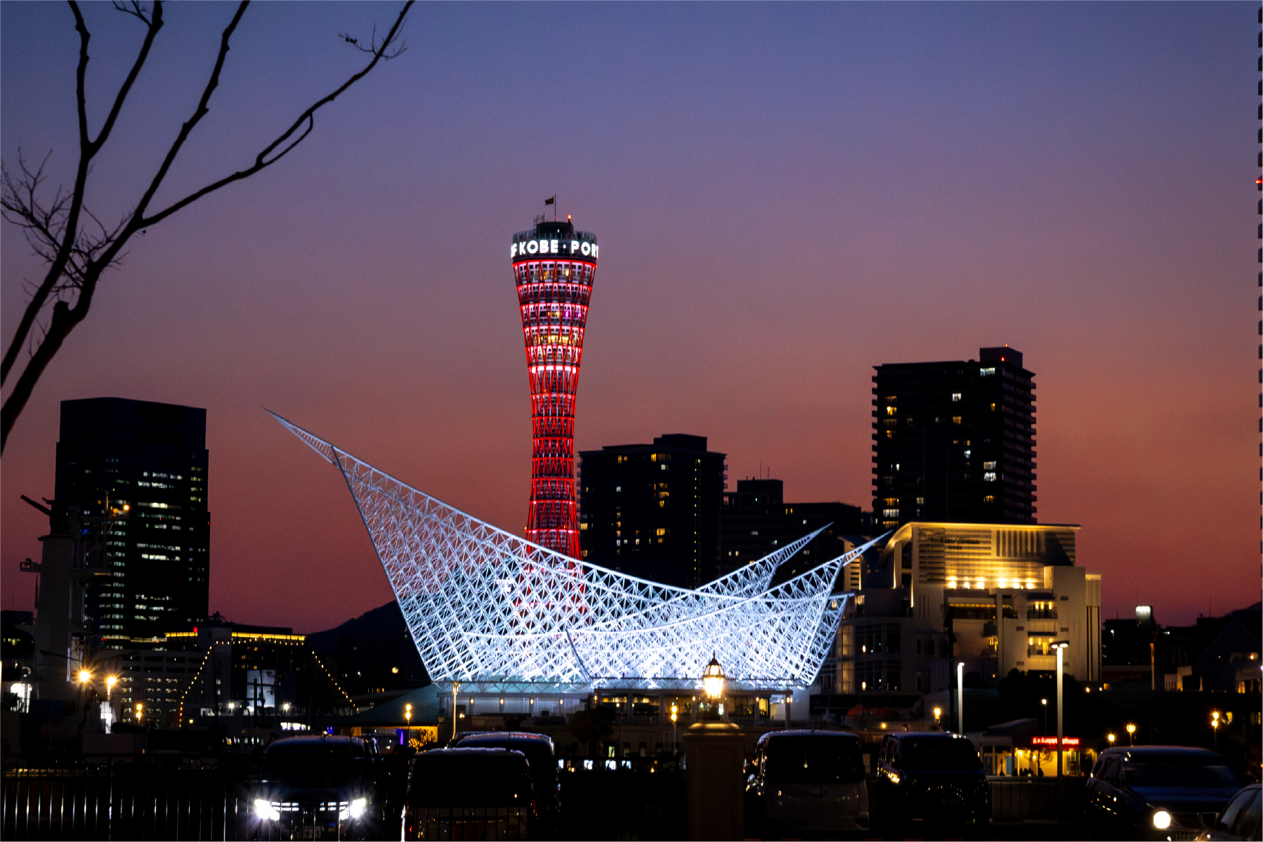 神戸の夜景を背景に乾杯する画像