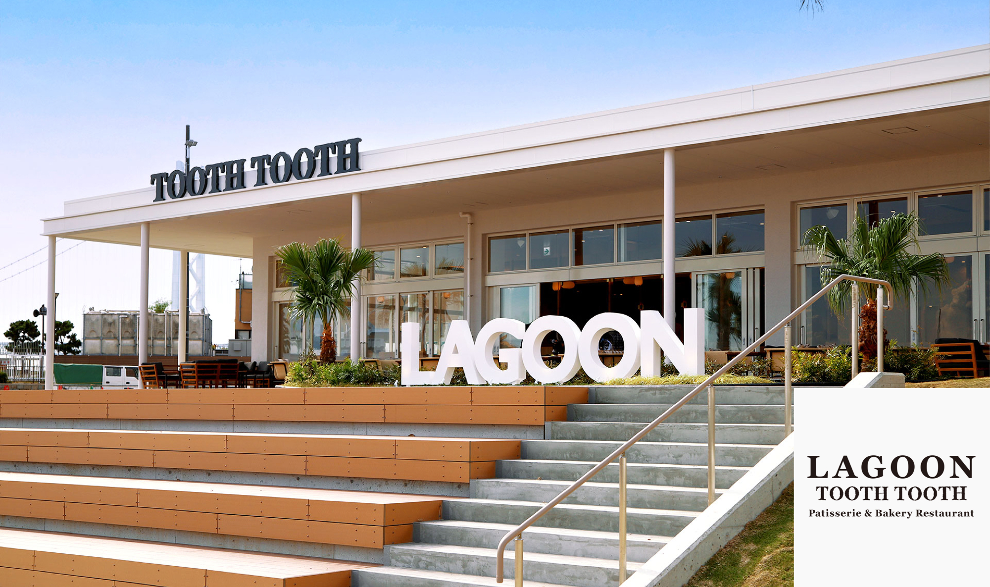 LAGOON TOOTH TOOTH - TOOTH TOOTH / トゥース・トゥース